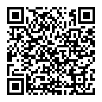 陕西嘉恒同辰文化发展中标成交信息公告 - 铁耙云